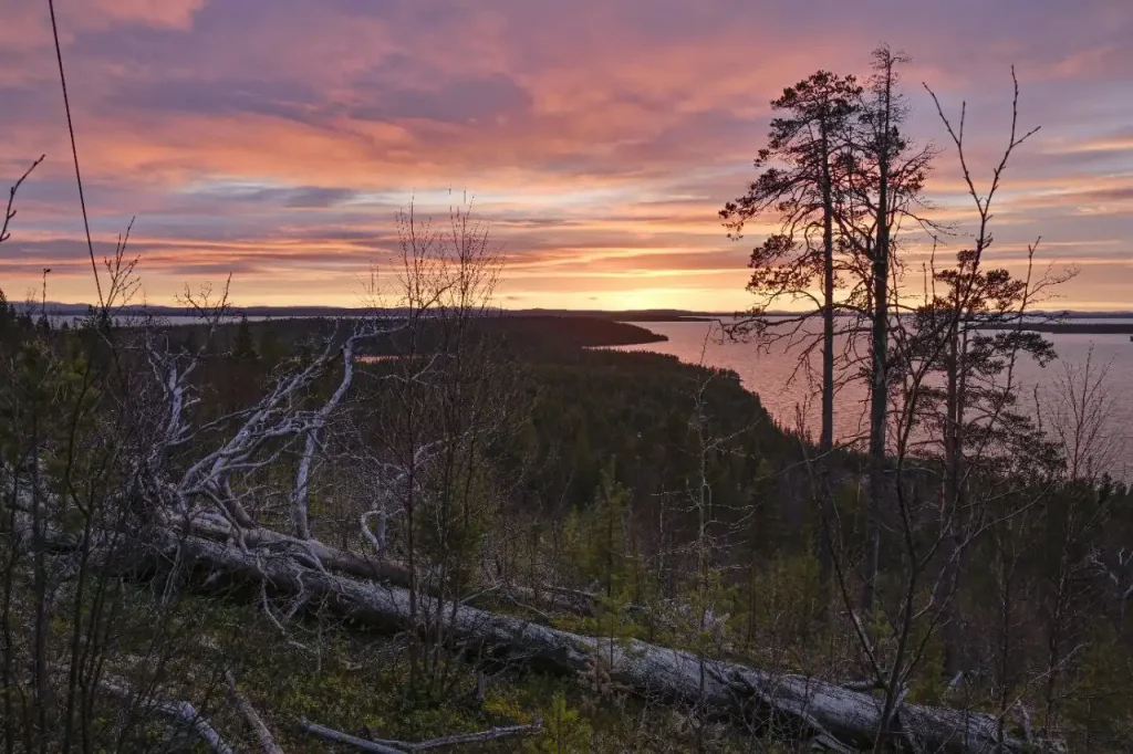 Летний пейзаж Кольского полуострова: горы, леса и северная природа