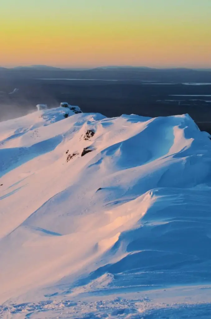 Заснеженные просторы Кольского полуострова зимой: белоснежные холмы и редкие деревья под холодным небом