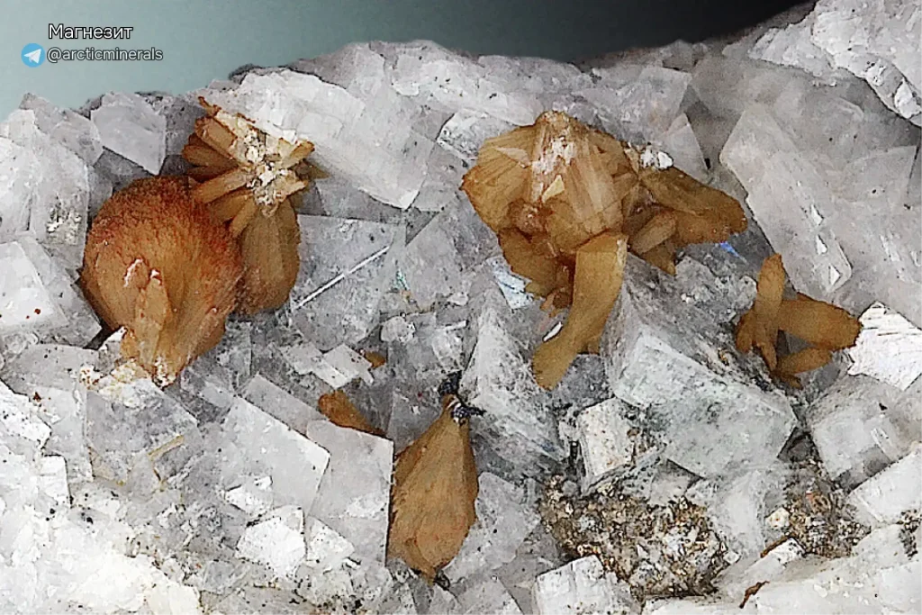 Кристаллы магнезита. Белые полупрозрачные кубические образования с включениями буроватых ромбовидных кристаллов, напоминающих цветки, на фоне светло-серой породы