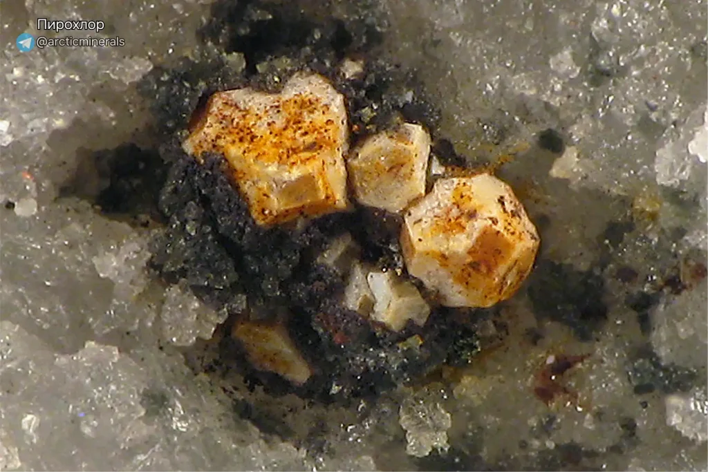 Макросъемка кристаллов пирохлора в породе. Минерал с желтовато-коричневым оттенком, частично покрытый темными включениями