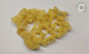 Кусок желтого пористого материала морской губки с ячеистой структурой на белом фоне