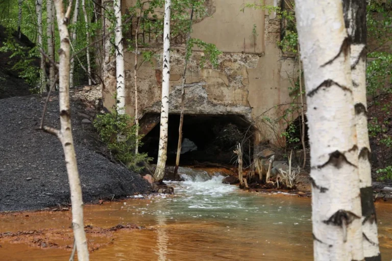 Вода с редкоземельными минералами вытекает из заброшенной шахты через старый туннель в лесу, где учёные Перми исследуют экологичный способ их добычи. Think harder подробности об экологии другие экологичные технологии