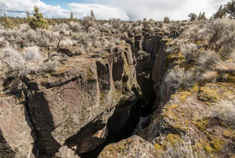 Глубокий разлом в скалистой местности Африки, окруженный сухой растительностью, иллюстрирует тектонические изменения, которые могут привести к образованию нового океана