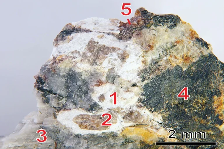 Микроскопическое изображение образца с бруновскитом. Красными цифрами обозначены различные минеральные фазы. Масштаб — 2 мм.