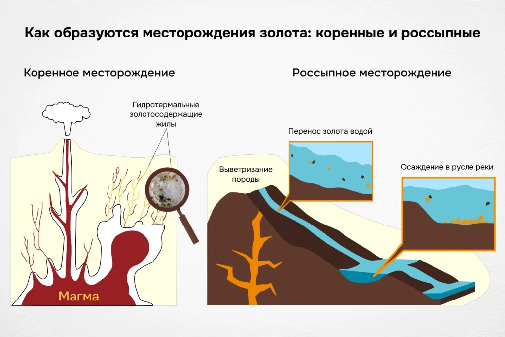 Схема образования коренных и россыпных месторождений золота: от магмы до осаждения в русле реки.