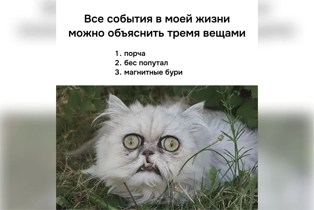 Мем с котом: порча, бес попутал, магнитные бури — причины всех проблем
