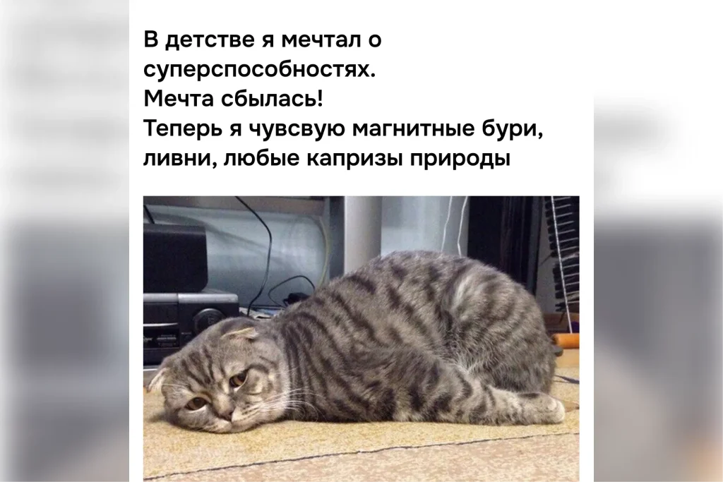 Мем с лежащим котом о метеозависимости и магнитных бурях