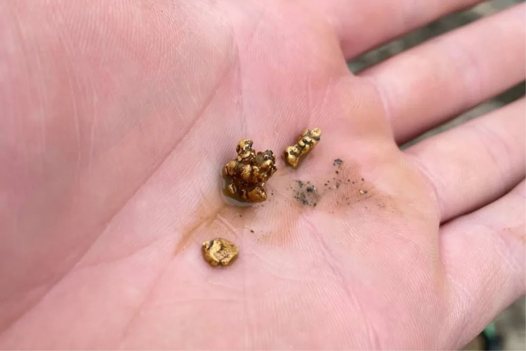 Крупицы самородного золота на ладони — пример россыпного золота, которое не требует дробления или обогащения