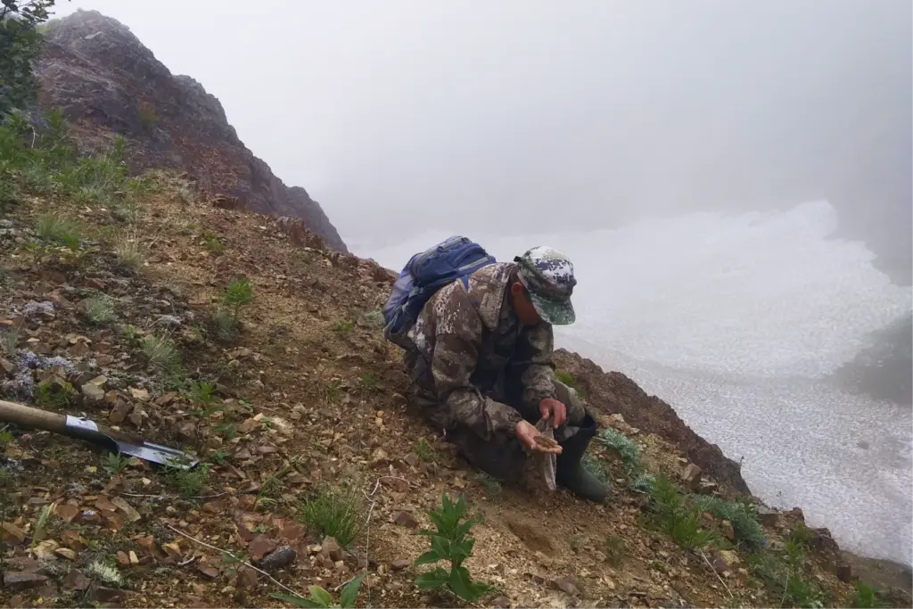 Молодой геолог отбирает пробу на маршруте — важный навык, с которого начинается карьера в полевой геохимии