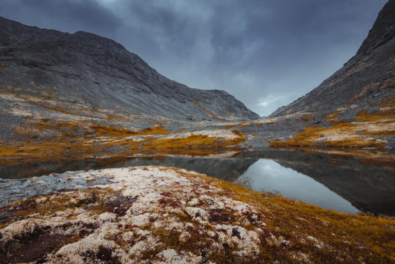 Арктический ландшафт месторождения Северный Каменник на Кольском полуострове — крупнейшего платинового месторождения, возраст которого оценивается в 2,5 млрд лет.