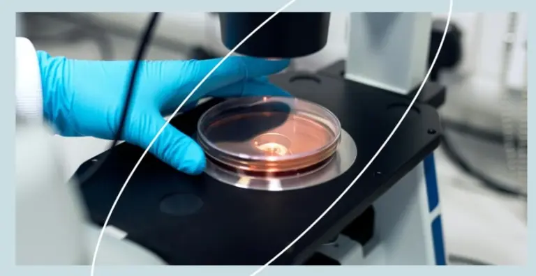 Сибирские учёные разработали новый метод определения двухвалентного железа в горных породах с помощью рентгенофлуоресцентного анализа