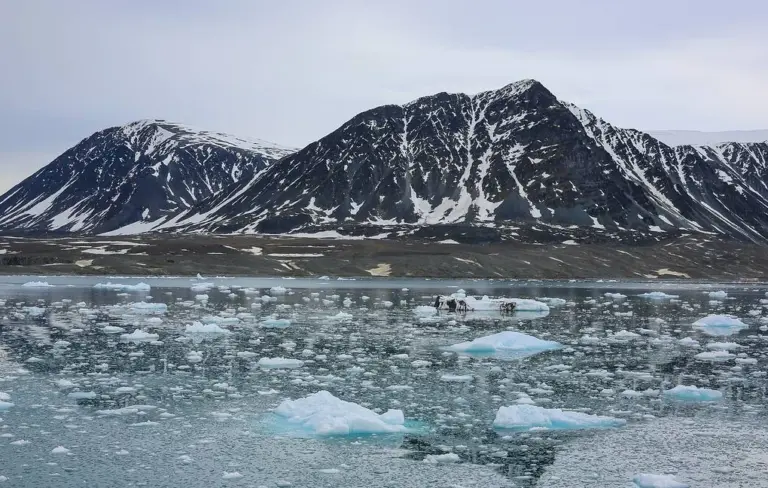 Российские учёные применили пассивные сейсмические методы на архипелаге Новая Земля для изучения геологических структур Арктики