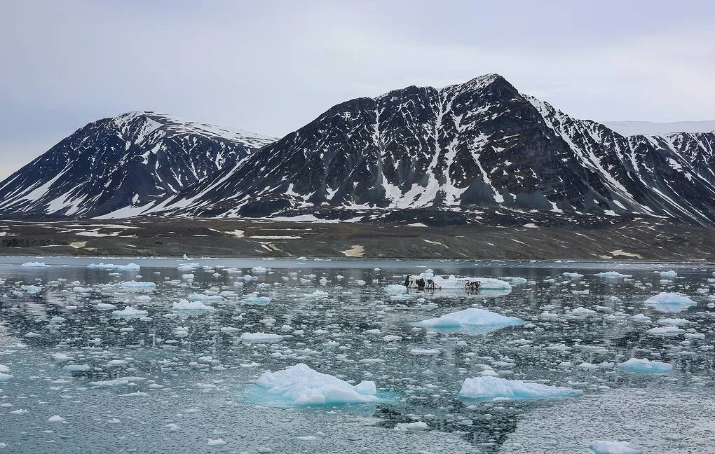 Российские учёные применили пассивные сейсмические методы на архипелаге Новая Земля для изучения геологических структур Арктики