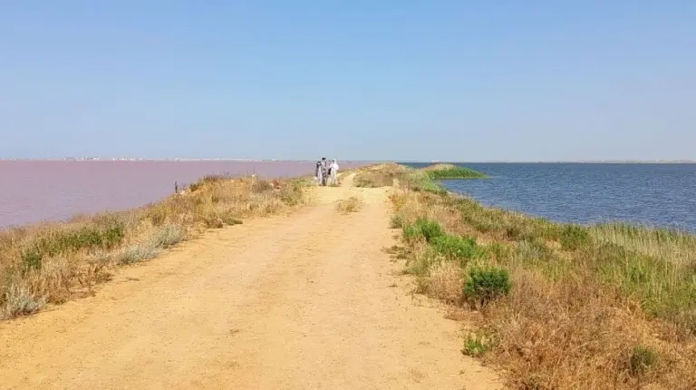 Ученые СПбГУ исследуют геохимический состав соляных озер Крыма для повышения курортного и лечебного потенциала региона