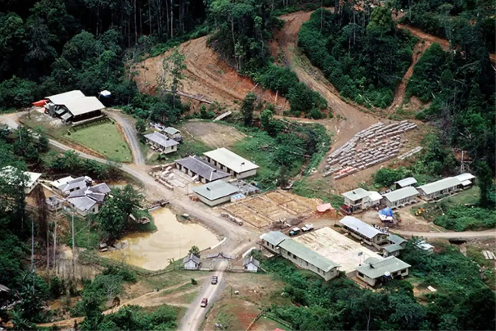 Аэрофотоснимок лагеря компании Bre-X на месторождении Busang в индонезийских джунглях, 1990-е годы