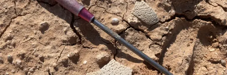 Датирование возрастных пород по окаменевшей скорлупе яиц динозавров новым уран-свинцовым методом для уточнения эволюции древних экосистем