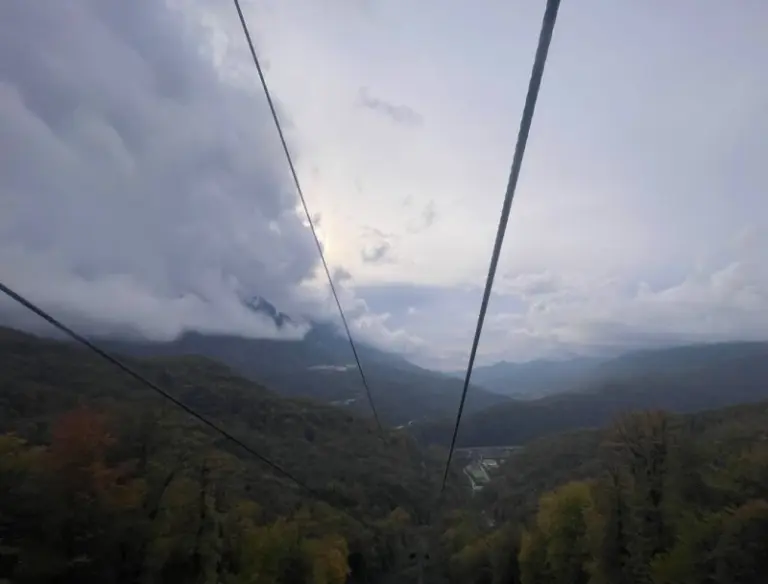 напиши краткую seo - оптимизированную альтернативную подпись на русском языке - alt-тег к изображению. Не описывай картинку. Основывайся только на тексте статьи.