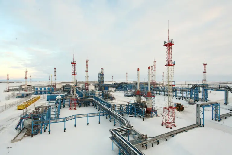 Обложка 3 (httpsnoyabrsk dobycha.gazprom.rupressnews2024031115)