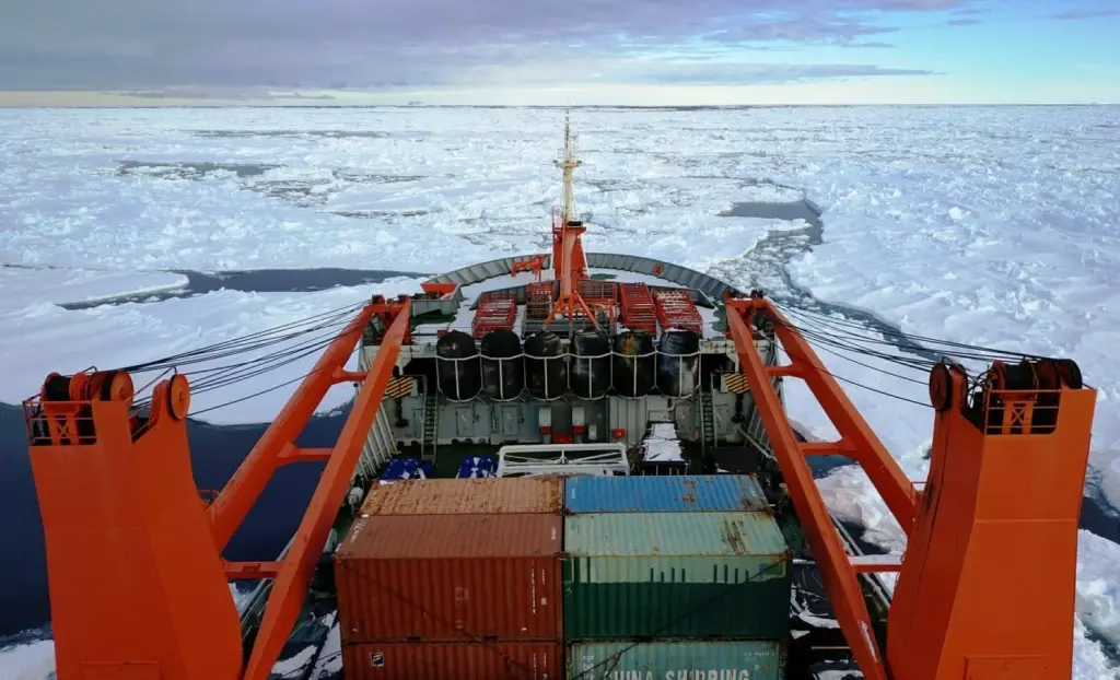Российская антарктическая экспедиция 2025 исследования на судне Академик Фёдоров по доставке грузов и учёных в Антарктиду