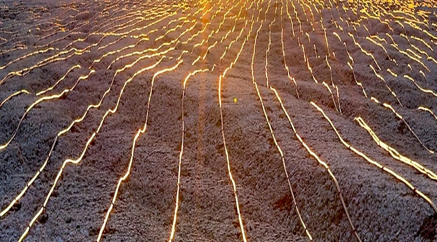 Микробная технология для повышения извлечения меди из сульфидных руд